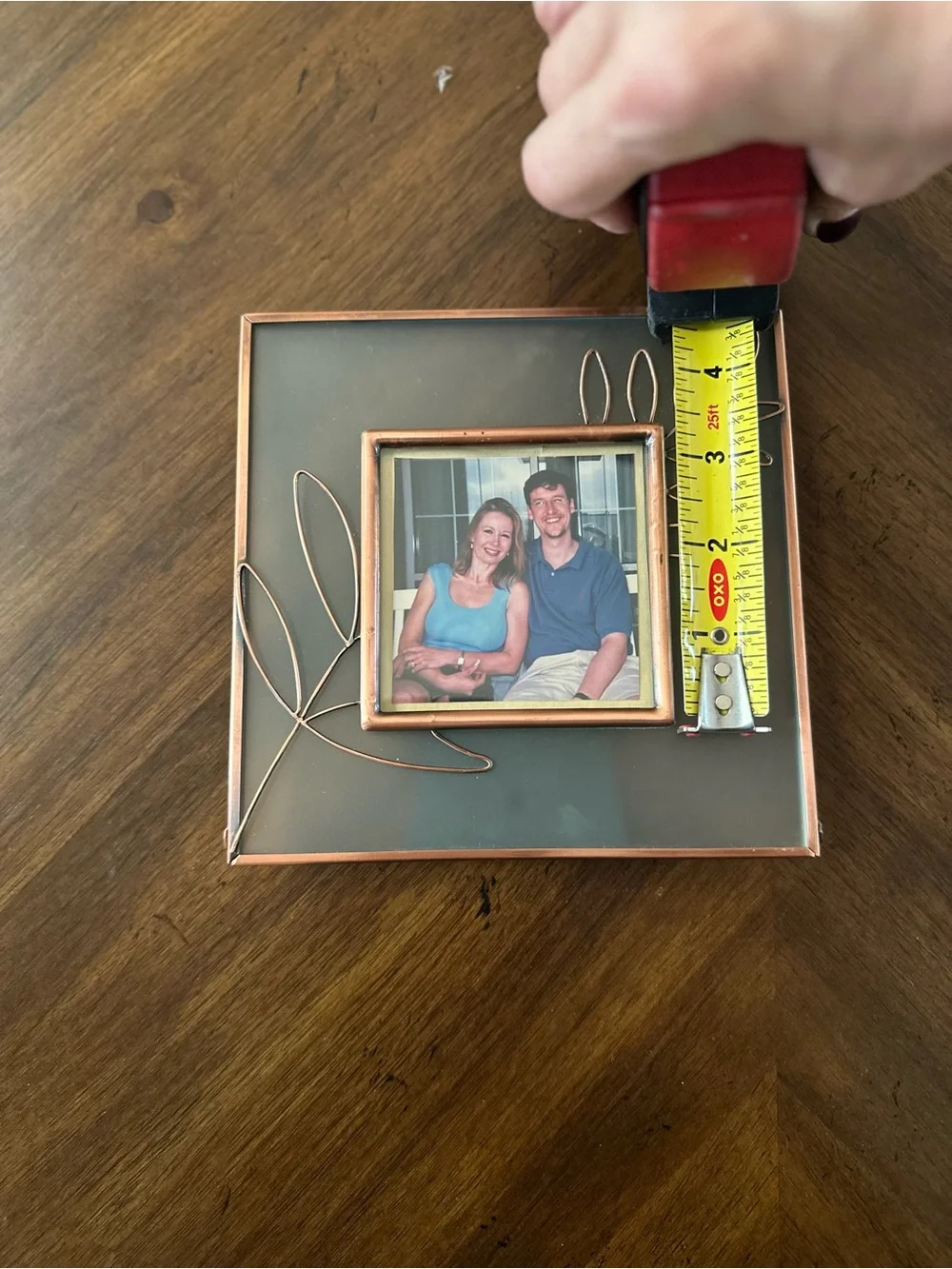 Hallmark Copper-Tone Leaf Accent Picture Frame